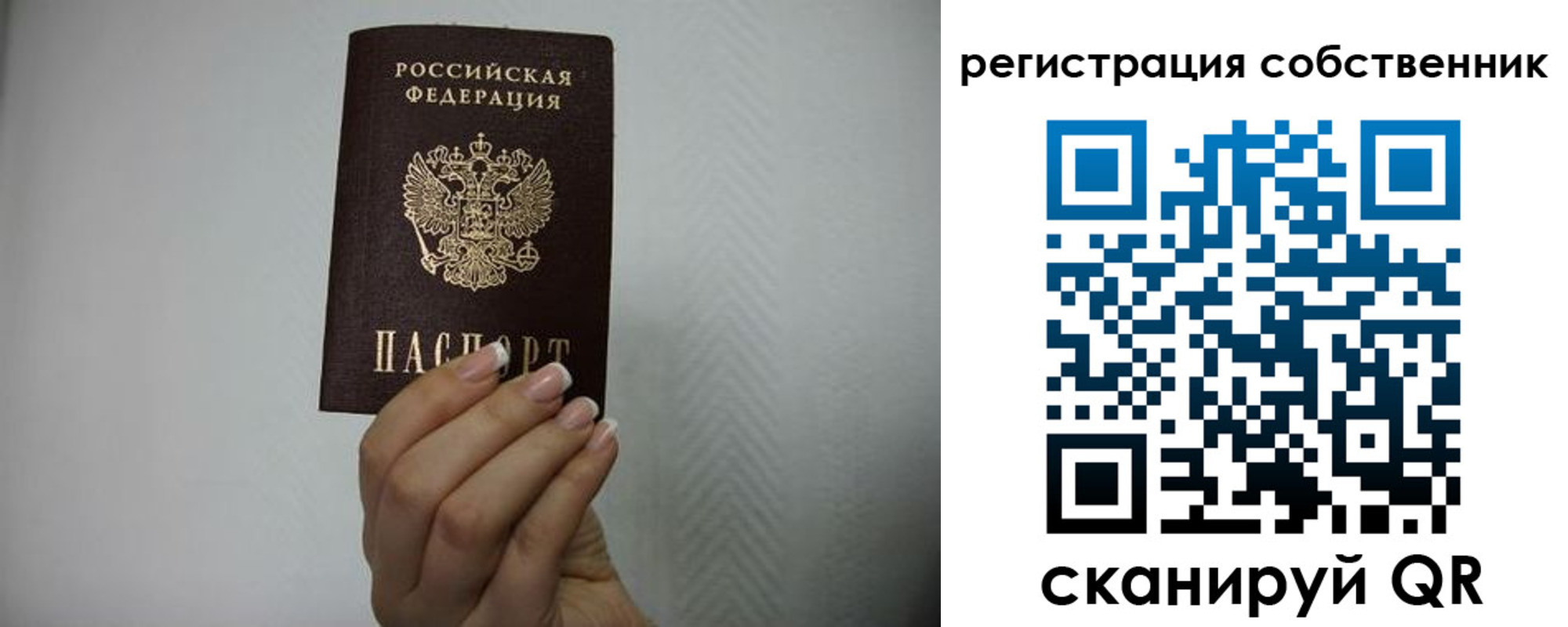 регистрация для дет. сада в Покрове